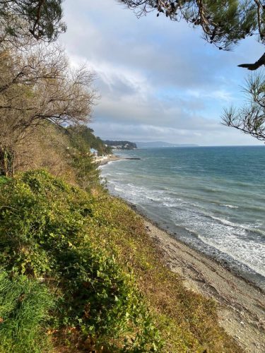 photo 2025-11-19 14-52-05