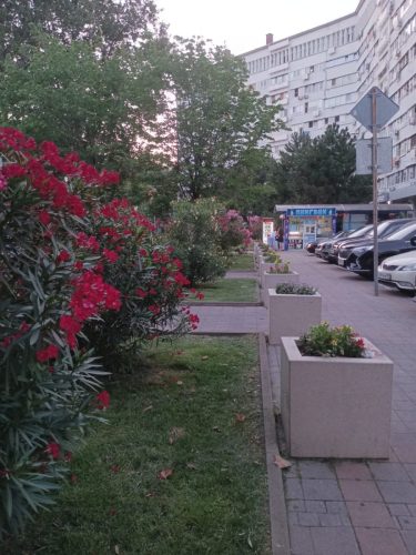 Изображение-WhatsApp-2025-07-31-в-16.15.30 497f90a8 (1) (1)