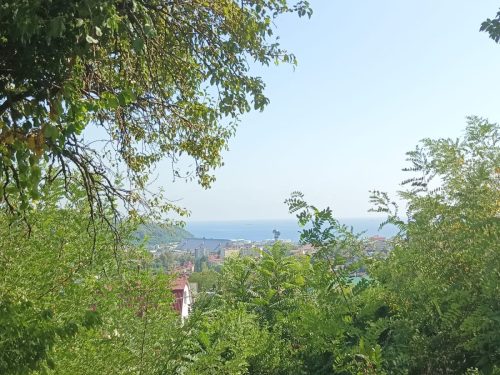 Изображение-WhatsApp-2025-09-06-в-14.34.20 42f8230e