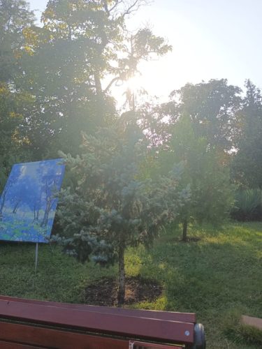 Изображение-WhatsApp-2025-09-06-в-14.34.21 41873ef0