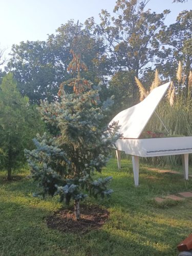 Изображение-WhatsApp-2025-09-06-в-14.34.21 4f92dbe0