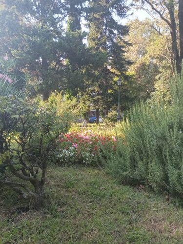 Изображение-WhatsApp-2025-09-06-в-14.34.24 894e0bdd