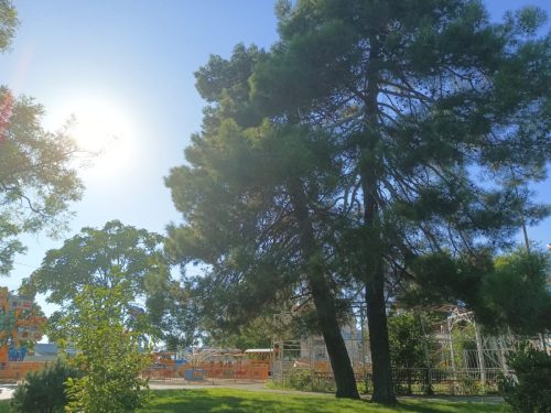 Изображение-WhatsApp-2025-09-06-в-14.34.25 d50824e8