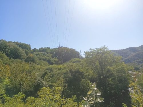 Изображение-WhatsApp-2025-09-06-в-14.34.26 f0ee931f