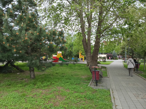 изображение 2025-05-19 010050289